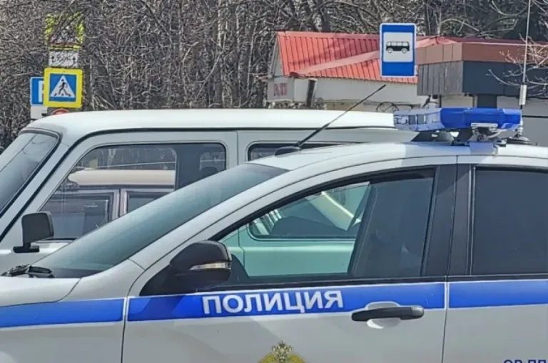 В Ярославле арестовали подозреваемую в сбыте синтетических наркотиков