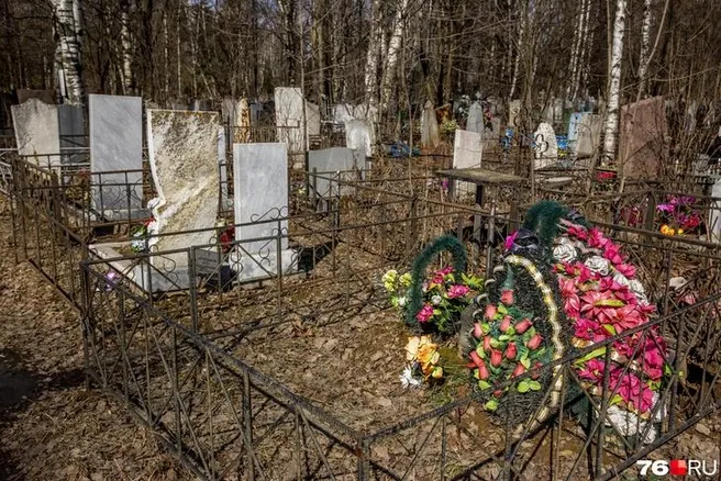На кладбищах Ярославля установят 175 табличек с номерами секторов