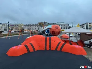 На площади Юности в Ярославле установили огромного кота со скалодромом